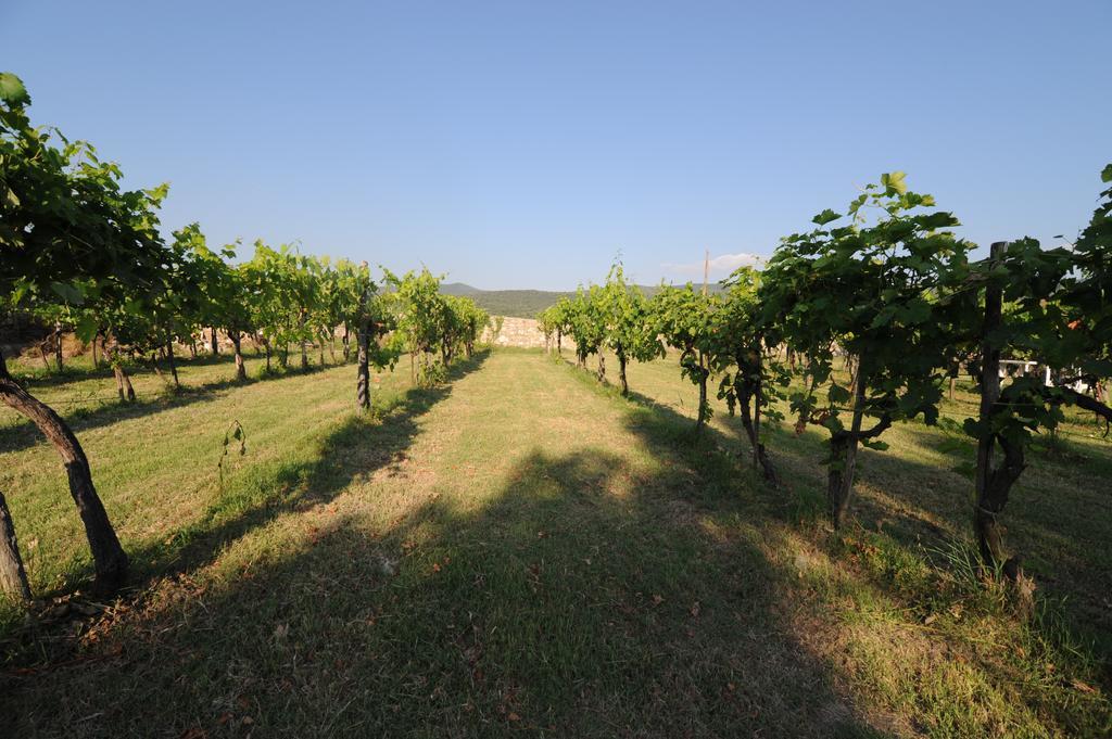 Agriturismo Scorgiano Exterior photo